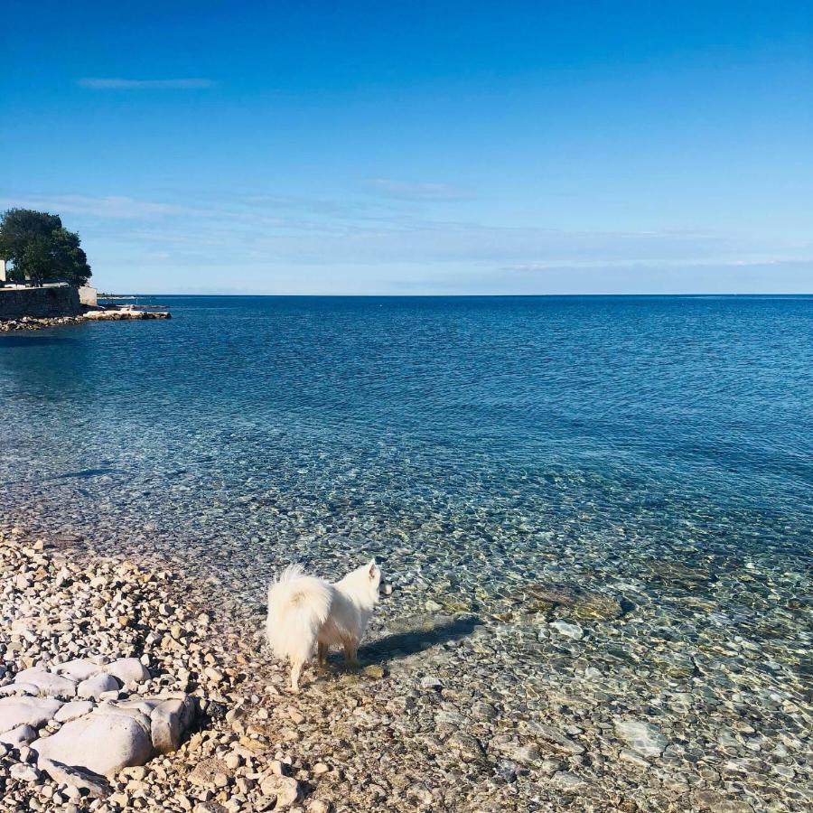 Vila Bianca Umag Exteriör bild